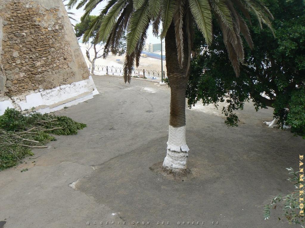 54 promenade de Letang .jpg